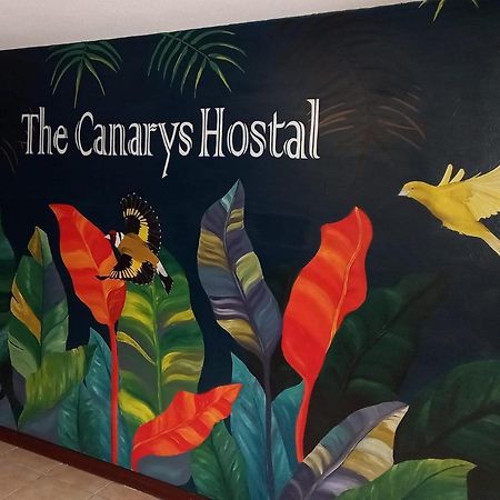 The Canarys Hostal ซานตาโรซา เดกาบัล ภายนอก รูปภาพ