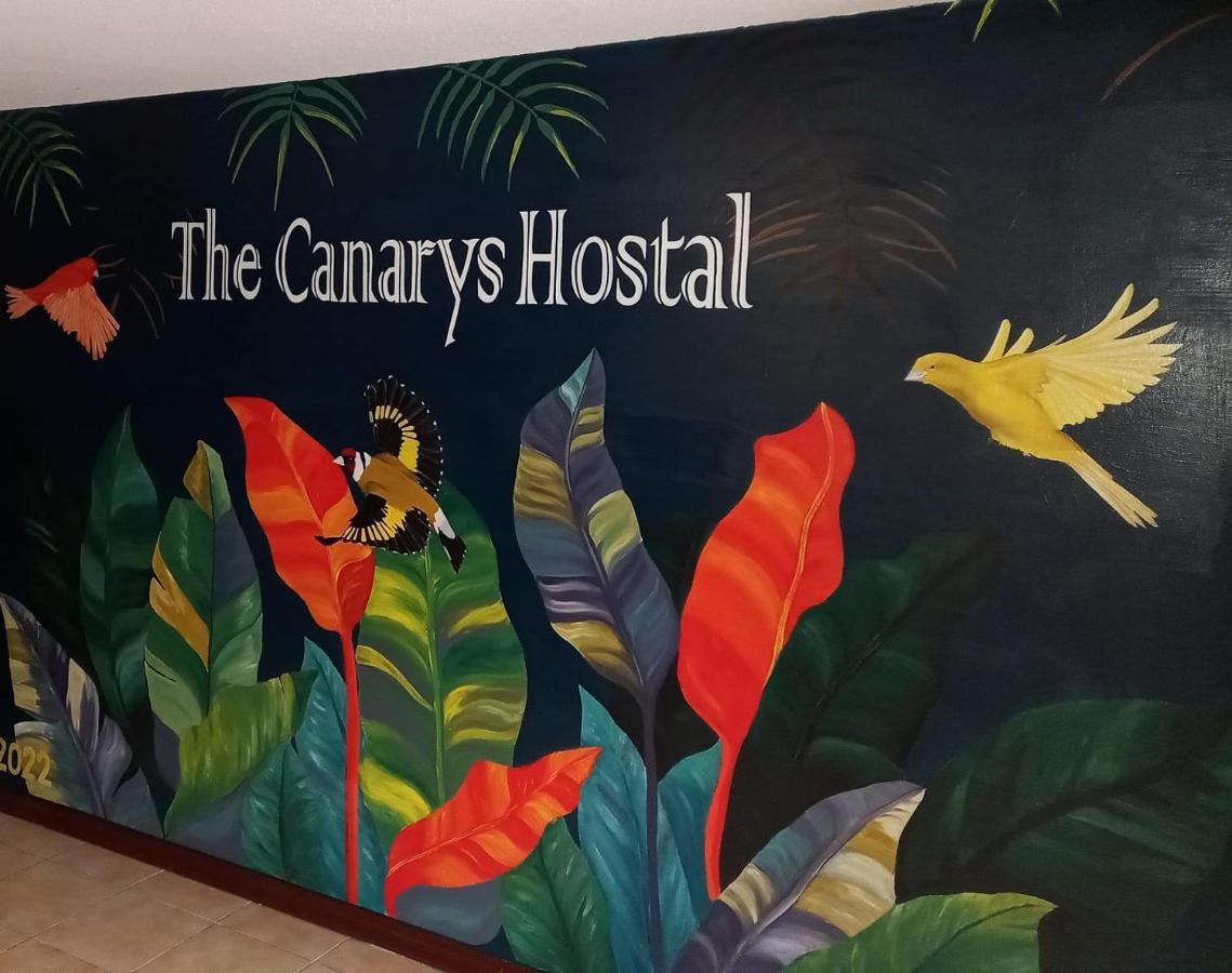 The Canarys Hostal ซานตาโรซา เดกาบัล ภายนอก รูปภาพ