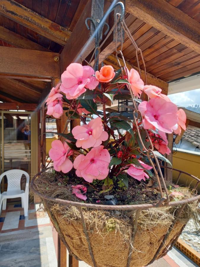 The Canarys Hostal ซานตาโรซา เดกาบัล ภายนอก รูปภาพ